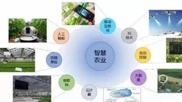 权球物联,物联卡,物联网卡,物联网卡办理,物联卡平台,物联网专用流量卡,电信物联网卡,物联网卡购买渠道,联通物联网卡